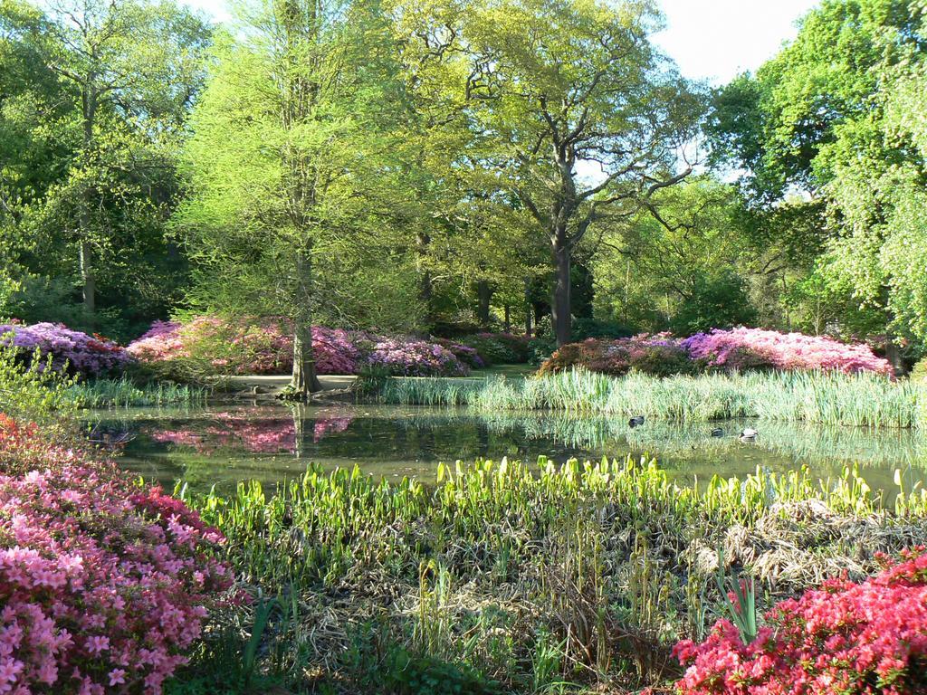 Londonhomegardens Zewnętrze zdjęcie